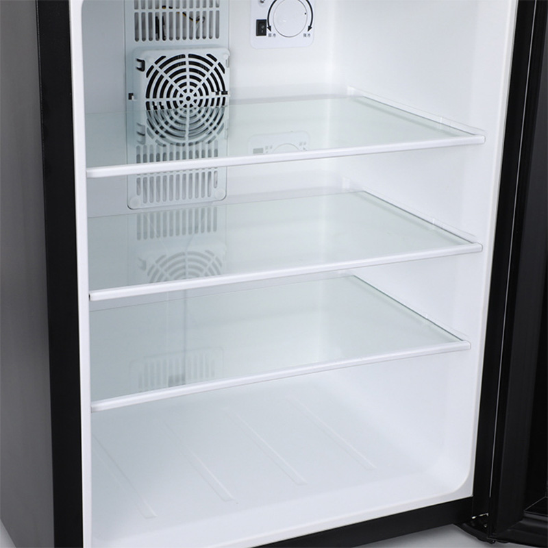 Mini Fridge Cooler 40L Refrige - Wine Beer Cooler Fridge recension och pris