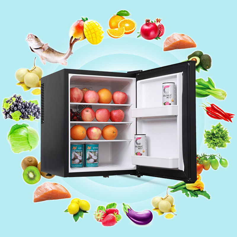 Mini Fridge Cooler 40L Refrige - Wine Beer Cooler Fridge recension och pris