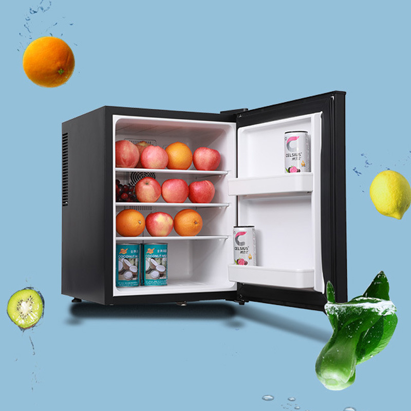 Mini Fridge Cooler 40L Refrige - Wine Beer Cooler Fridge recension och pris