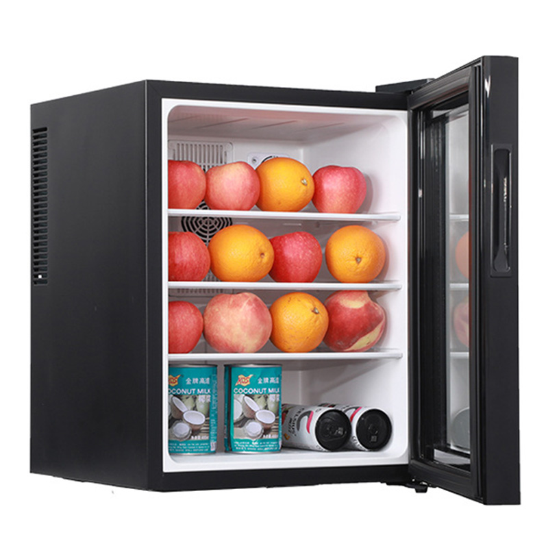 Mini Fridge Cooler 40L Refrige - Wine Beer Cooler Fridge recension och pris